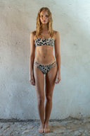 SEA HEART |350872|